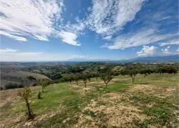 ELICE AVVIATA AZIENDA AGROALIMENTARE IN VENDITA